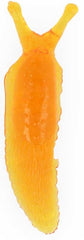 Sticky Slug Stretchy Squishy Sensory Fidget Toy